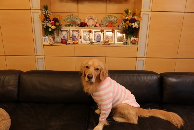 ファイル 7883-1.jpg