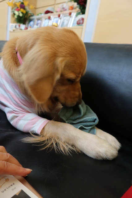 ファイル 7883-2.jpg