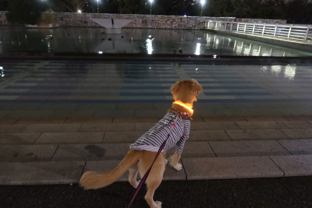 ファイル 7884-2.jpg