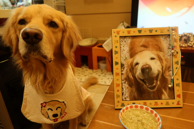 ファイル 7884-3.jpg