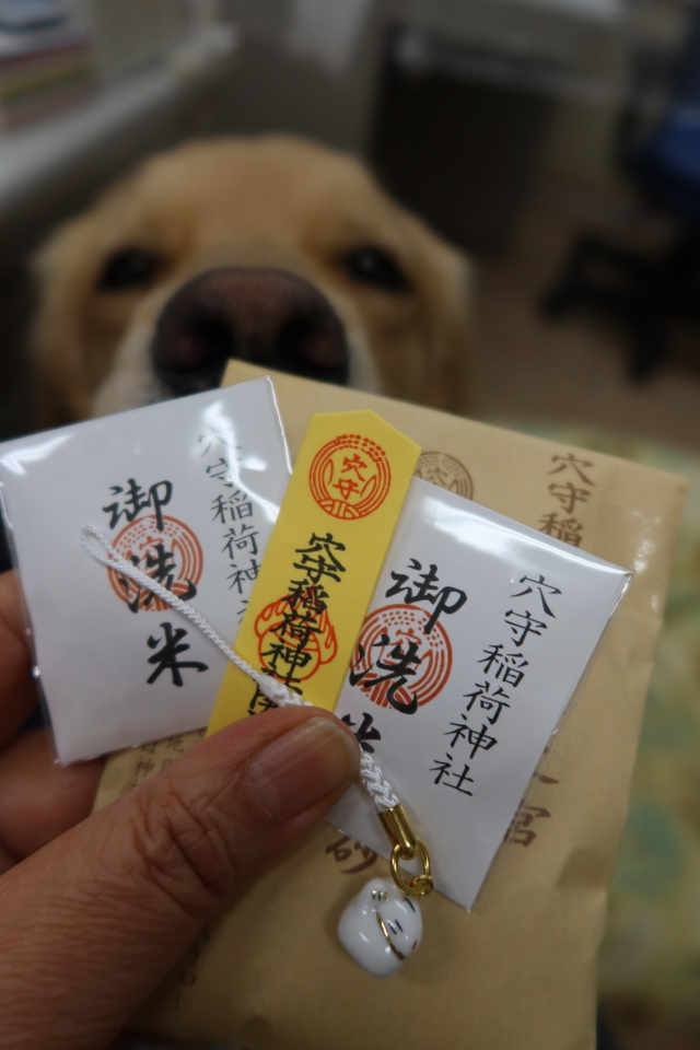 ファイル 7884-5.jpg