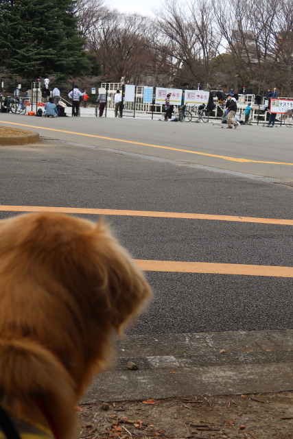 ファイル 7886-2.jpg