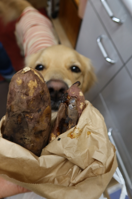 ファイル 7886-4.jpg