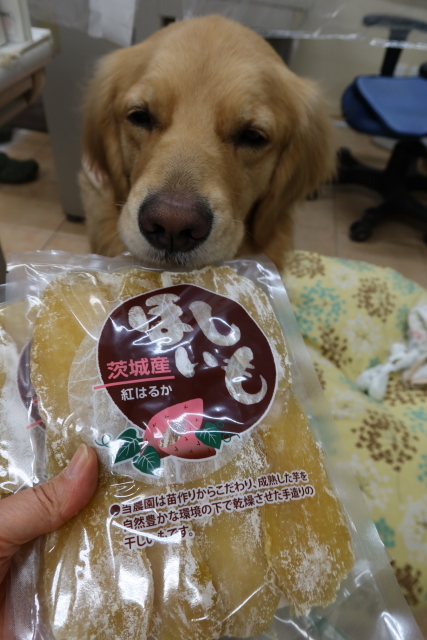 ファイル 7886-5.jpg