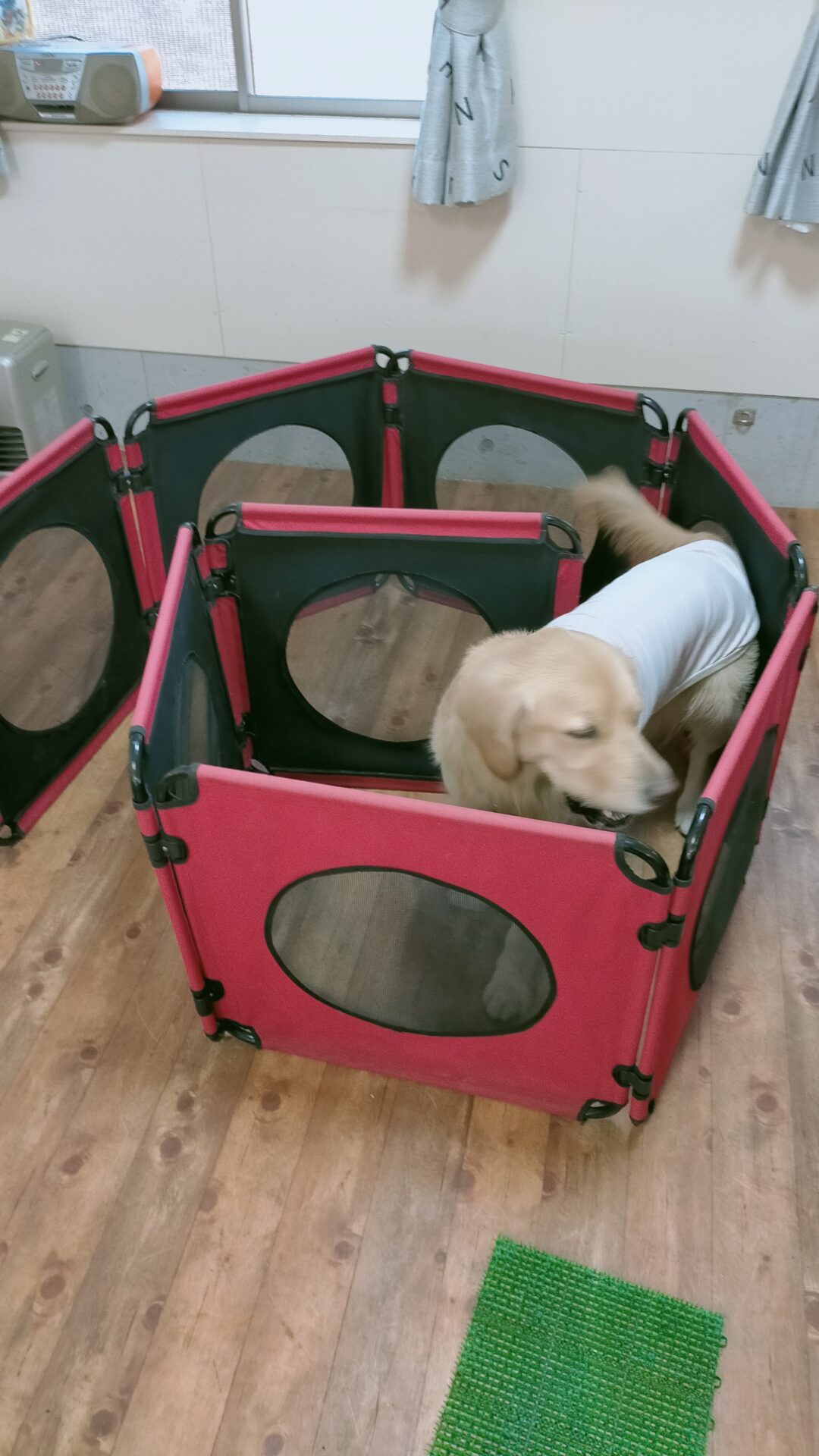 ファイル 7888-4.jpg