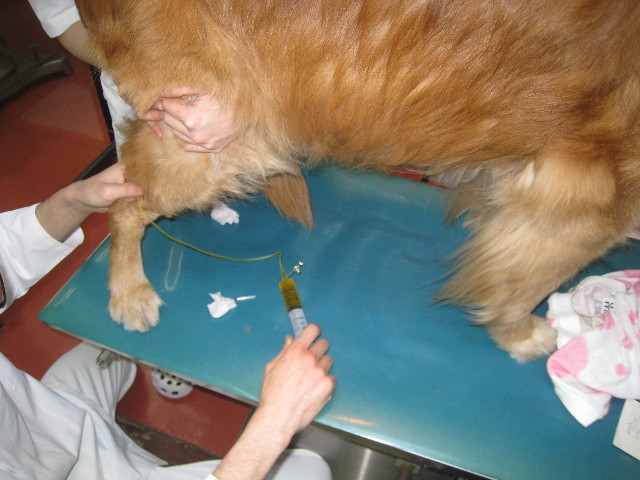 ファイル 789-1.jpg