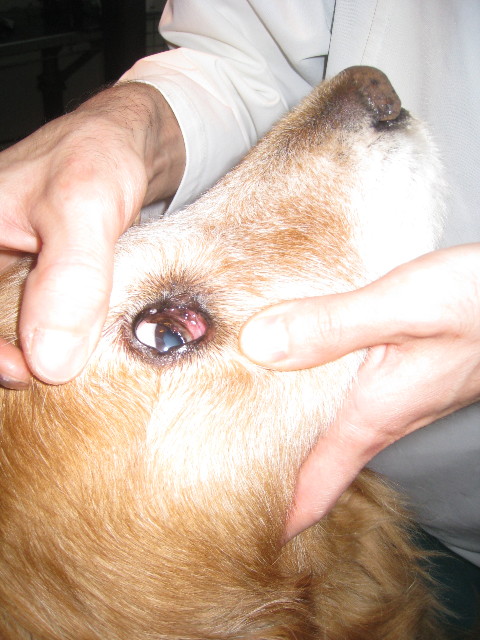 ファイル 789-3.jpg