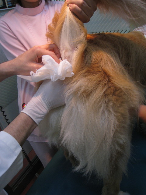 ファイル 789-5.jpg