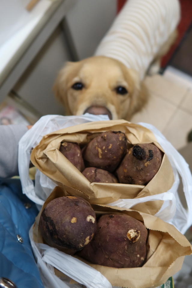 ファイル 7890-5.jpg