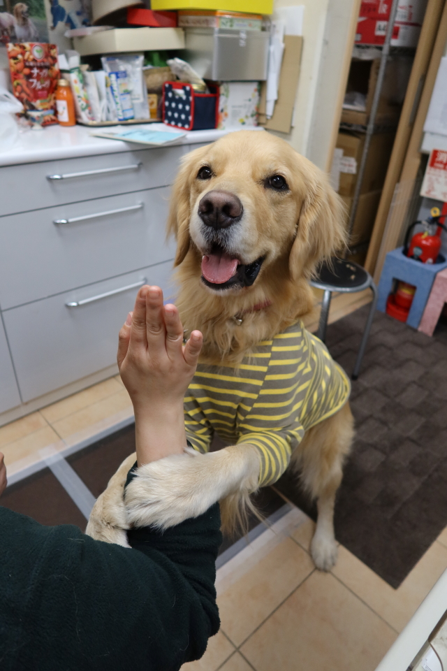 ファイル 7891-4.jpg