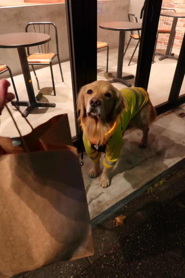 ファイル 7892-2.jpg