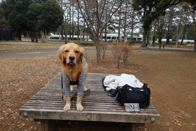 ファイル 7892-3.jpg