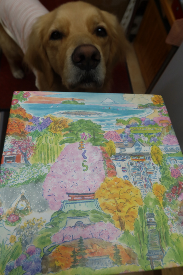 ファイル 7892-4.jpg