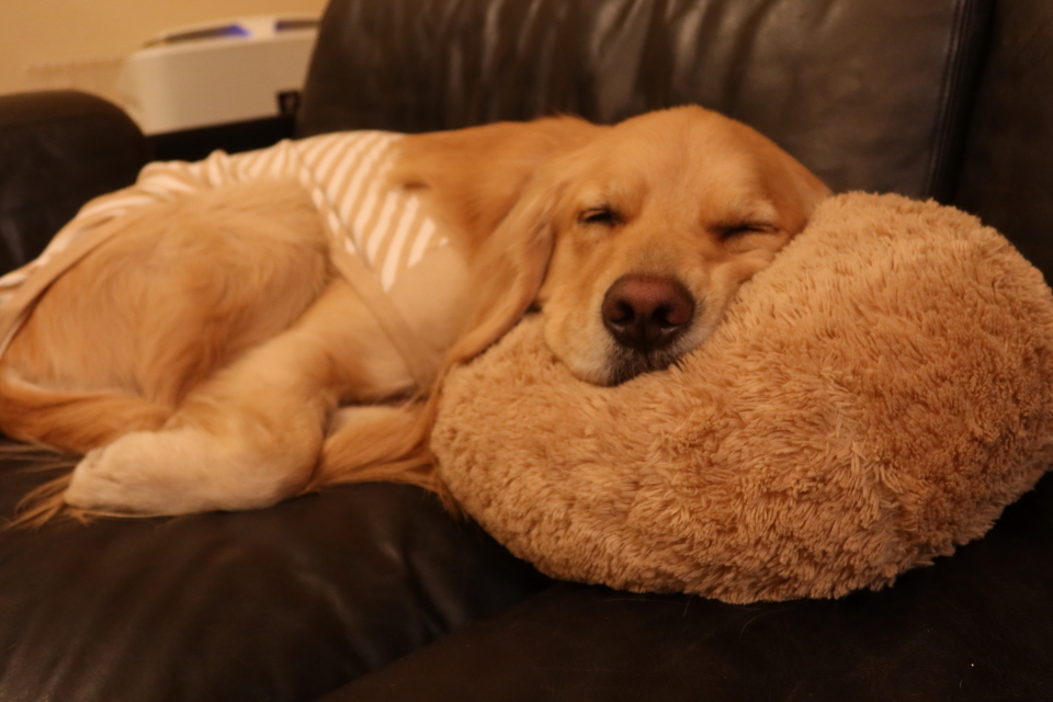 ファイル 7892-5.jpg