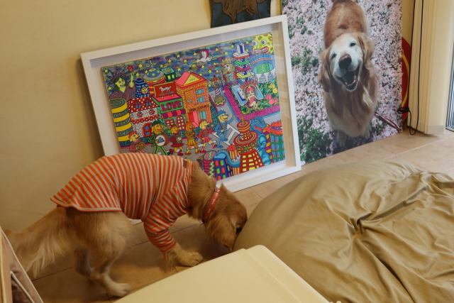 ファイル 7893-1.jpg