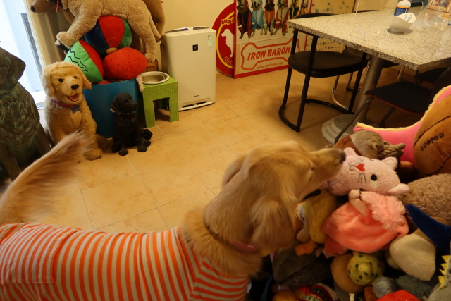 ファイル 7893-4.jpg