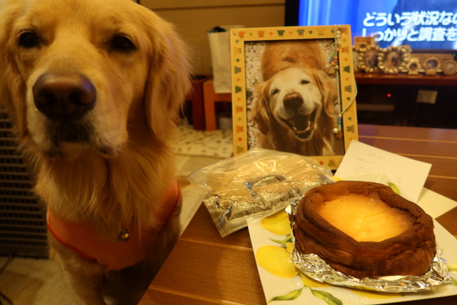 ファイル 7894-1.jpg