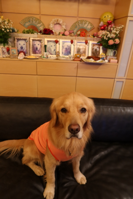 ファイル 7894-2.jpg