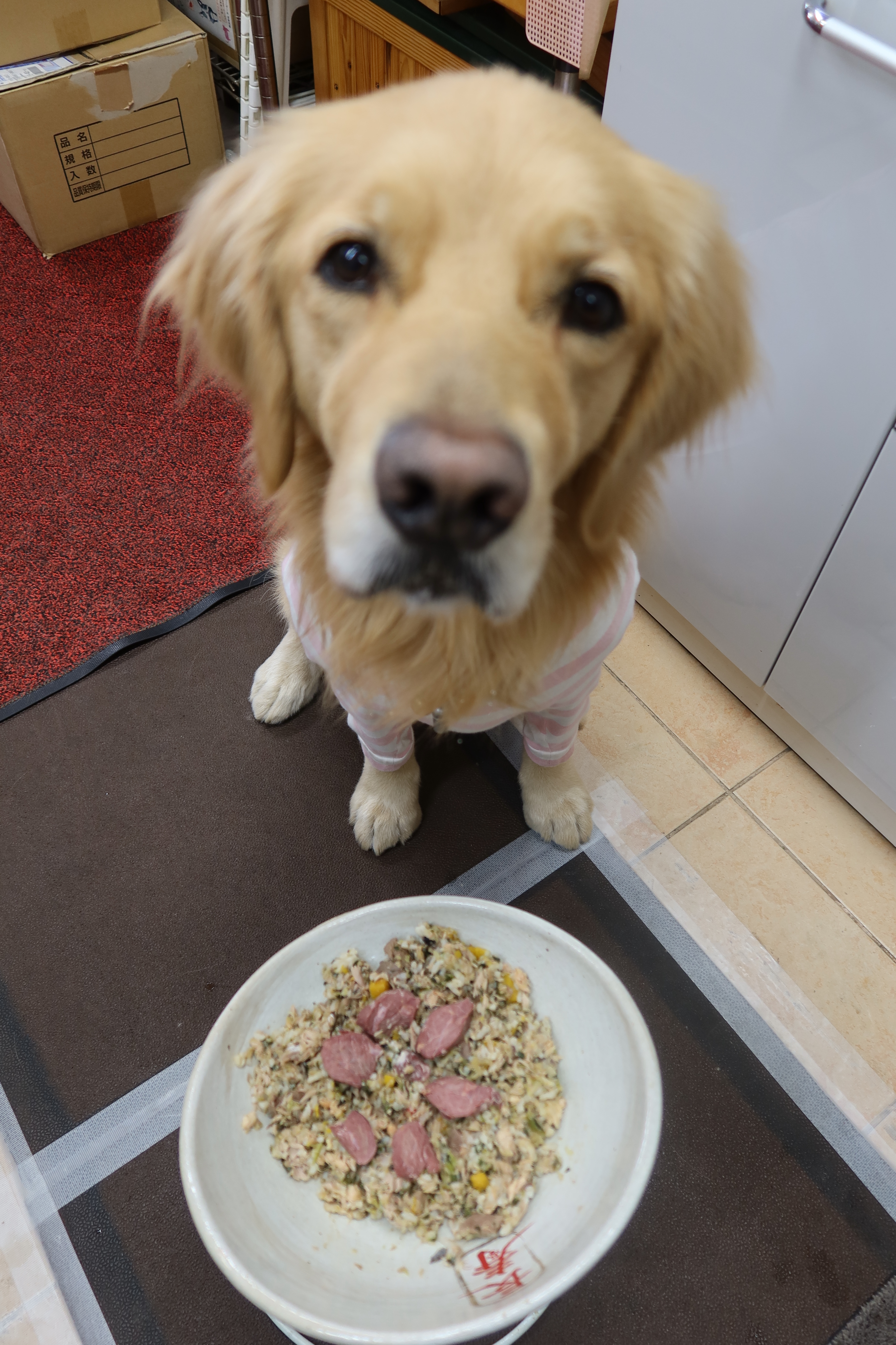 ファイル 7895-5.jpg