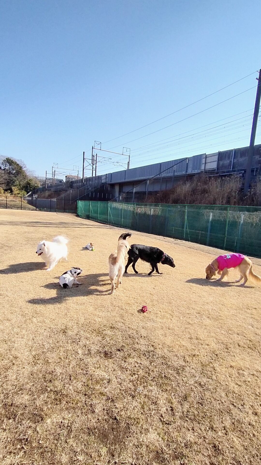 ファイル 7896-4.jpg