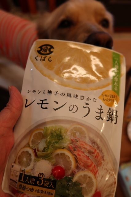 ファイル 7898-1.jpg