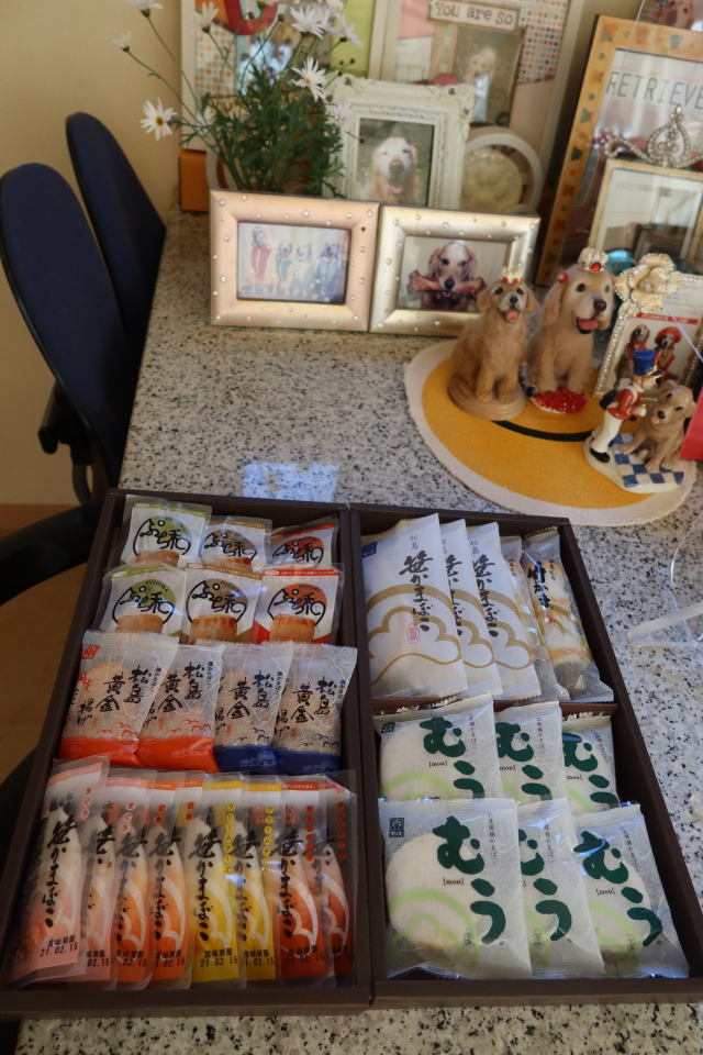 ファイル 7898-5.jpg