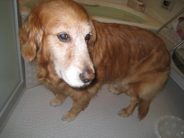 ファイル 790-1.jpg