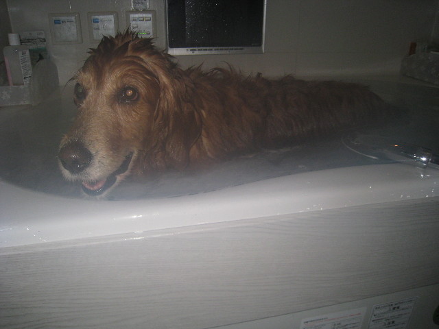 ファイル 790-3.jpg