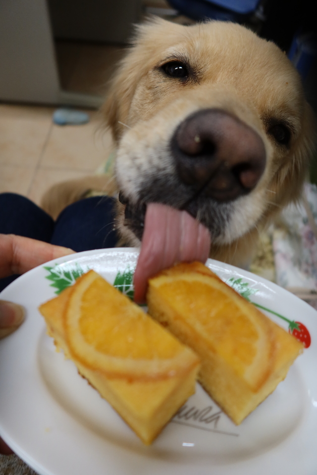 ファイル 7900-3.jpg