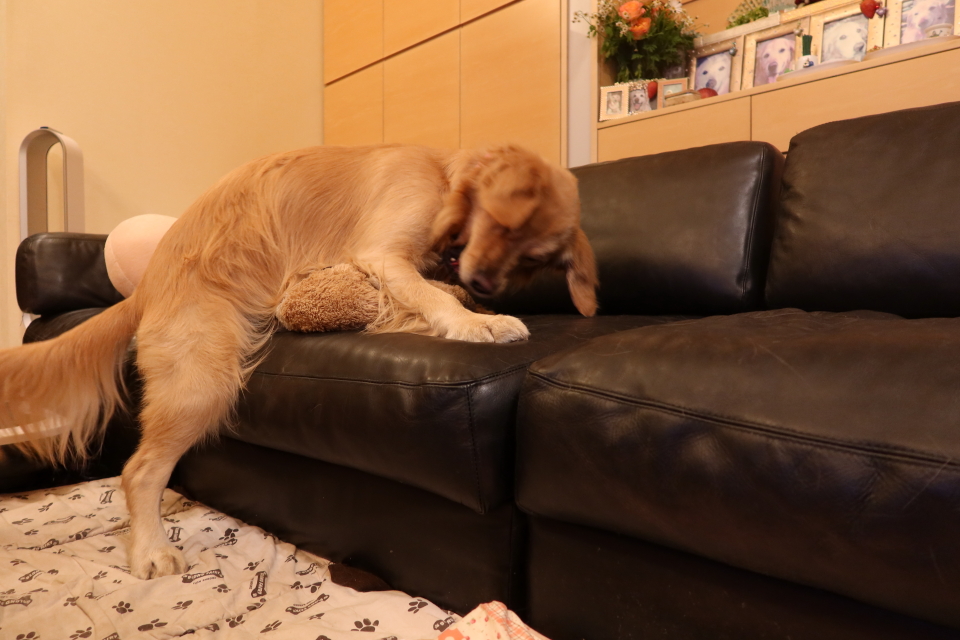 ファイル 7903-3.jpg