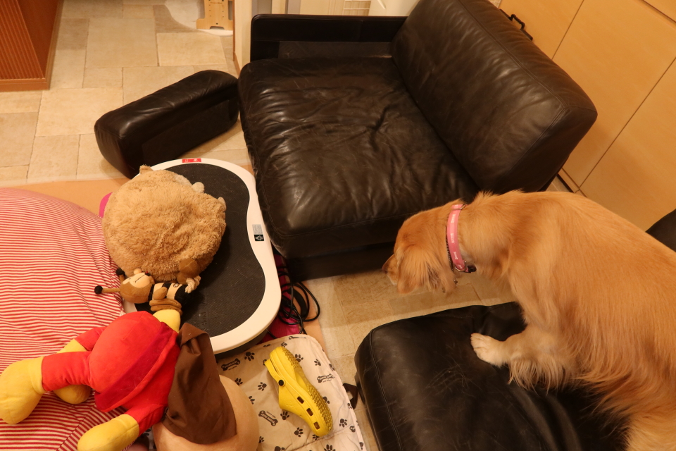 ファイル 7903-4.jpg