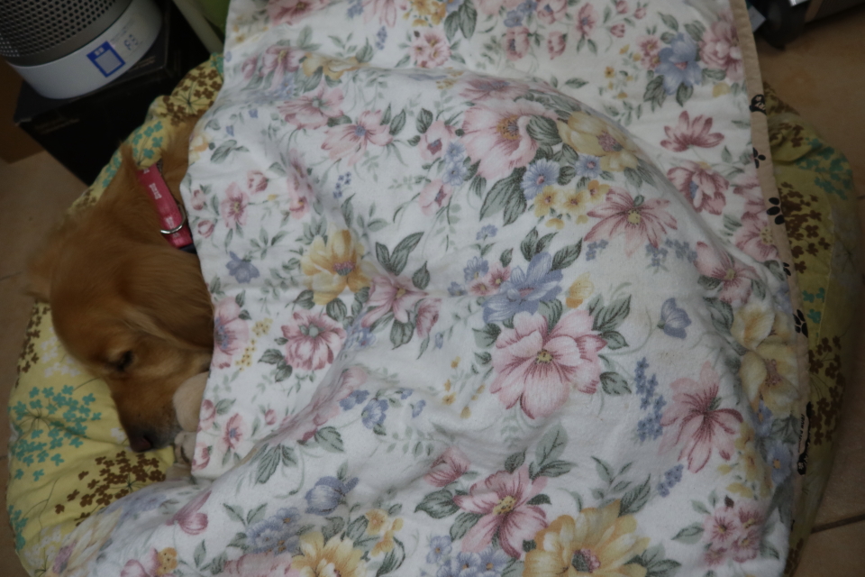 ファイル 7903-5.jpg