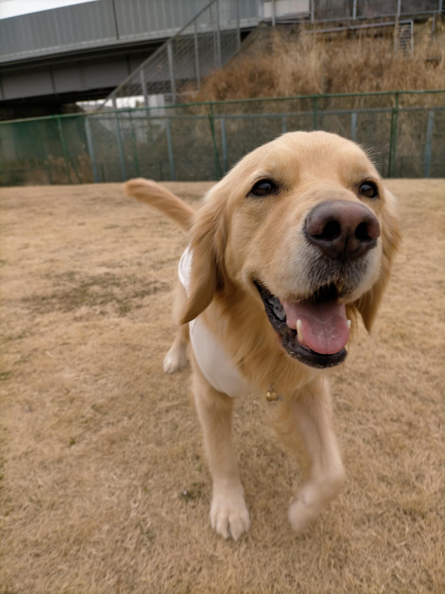 ファイル 7904-1.jpg