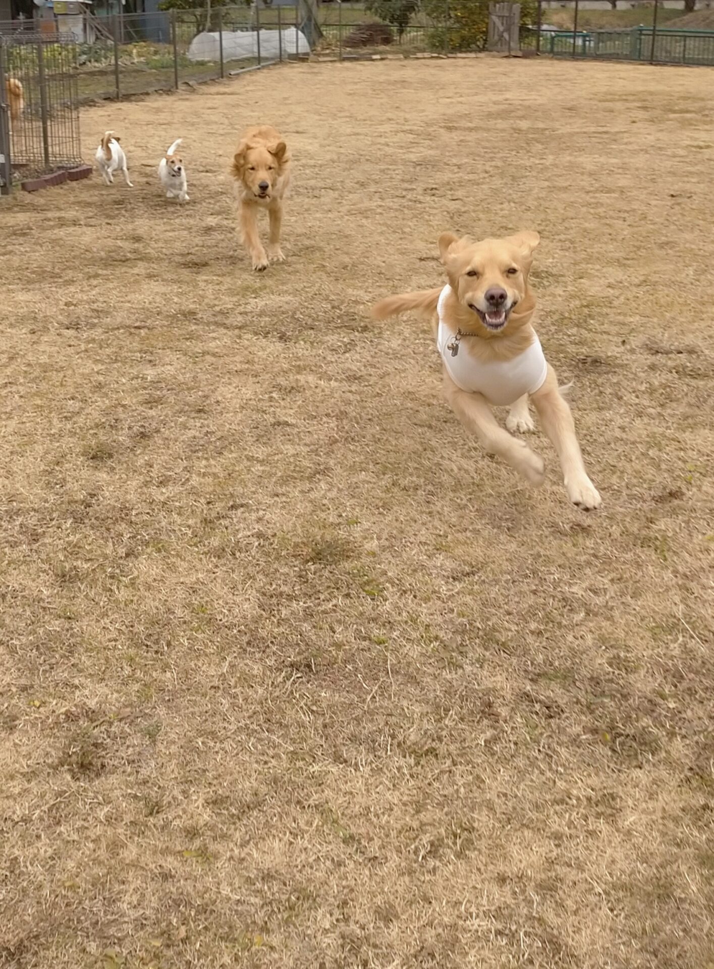 ファイル 7904-2.jpg