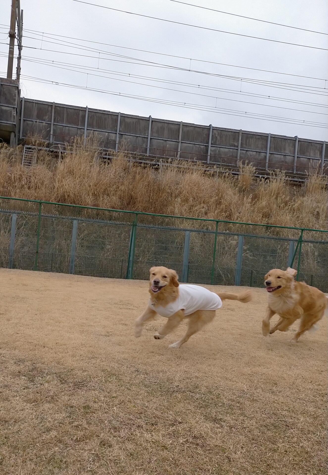 ファイル 7904-3.jpg