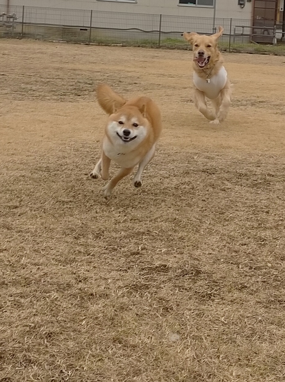 ファイル 7904-4.jpg