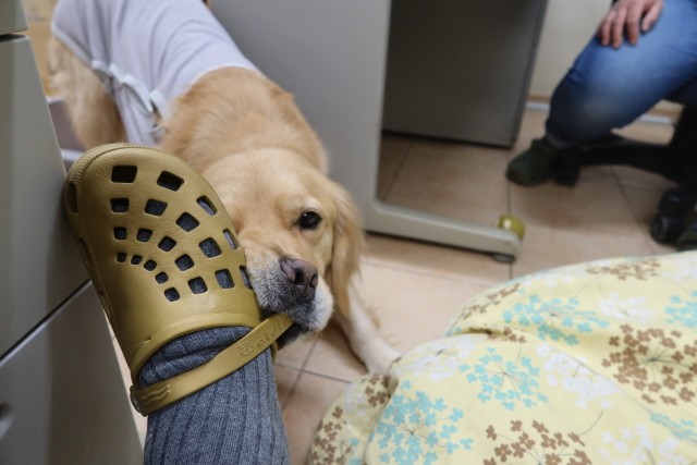 ファイル 7907-4.jpg