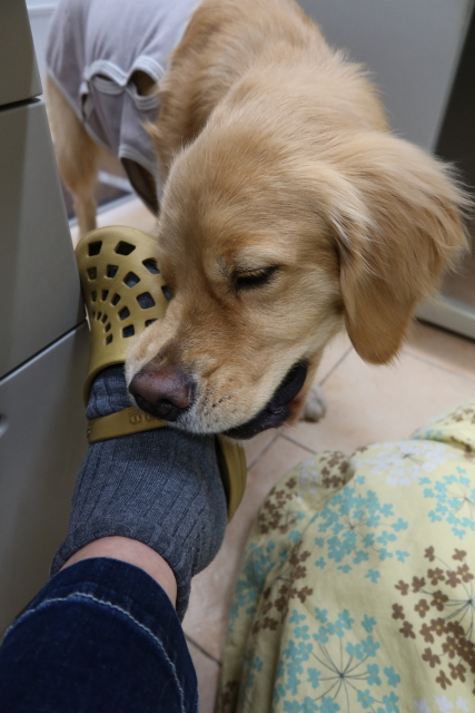 ファイル 7907-5.jpg