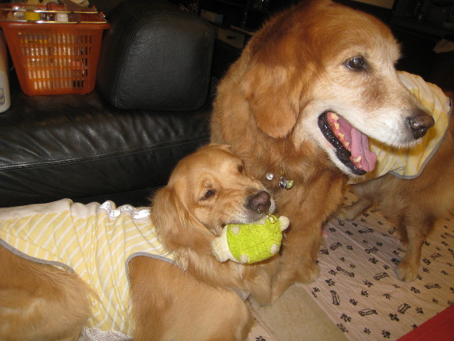 ファイル 791-1.jpg