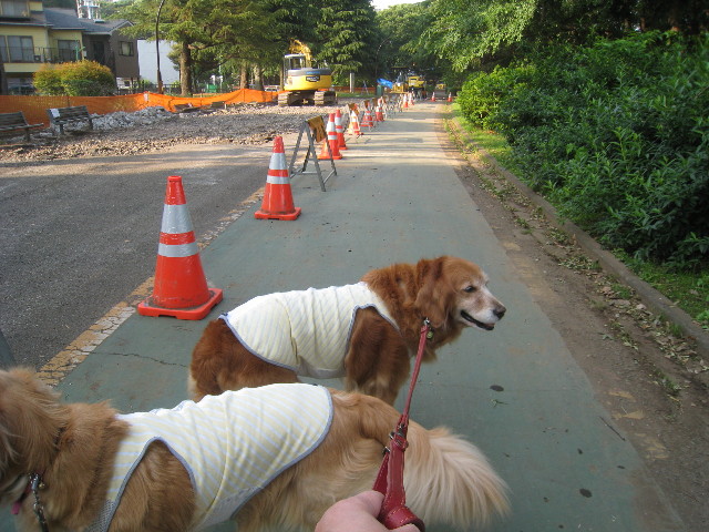 ファイル 791-2.jpg