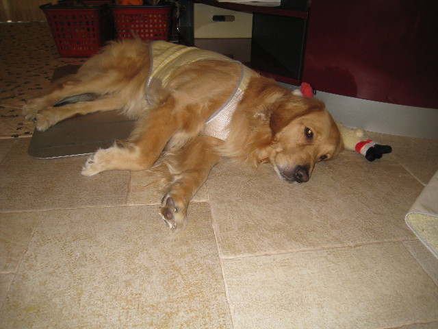 ファイル 791-3.jpg