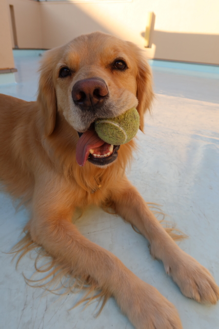 ファイル 7910-1.jpg