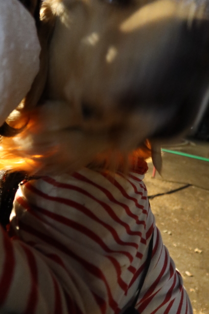 ファイル 7910-4.jpg