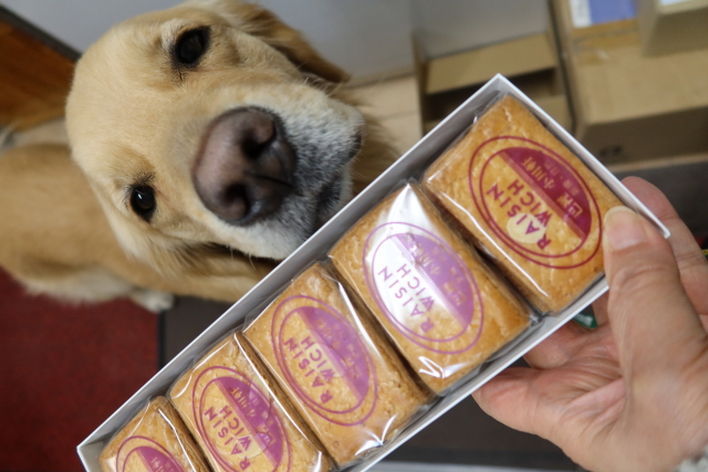 ファイル 7914-5.jpg