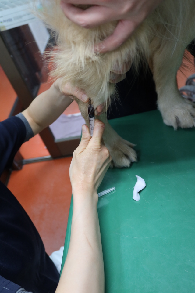 ファイル 7916-3.jpg