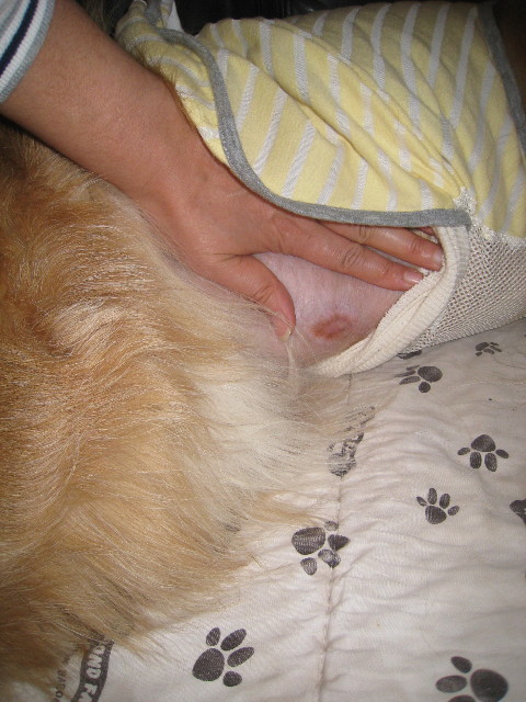 ファイル 792-1.jpg