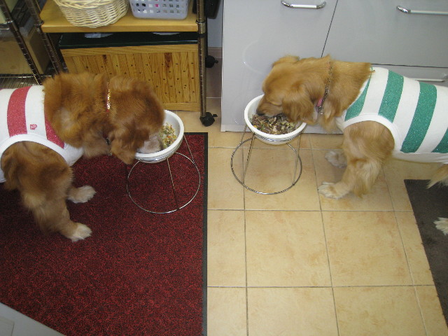 ファイル 792-3.jpg