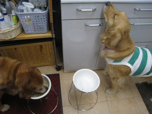 ファイル 792-4.jpg