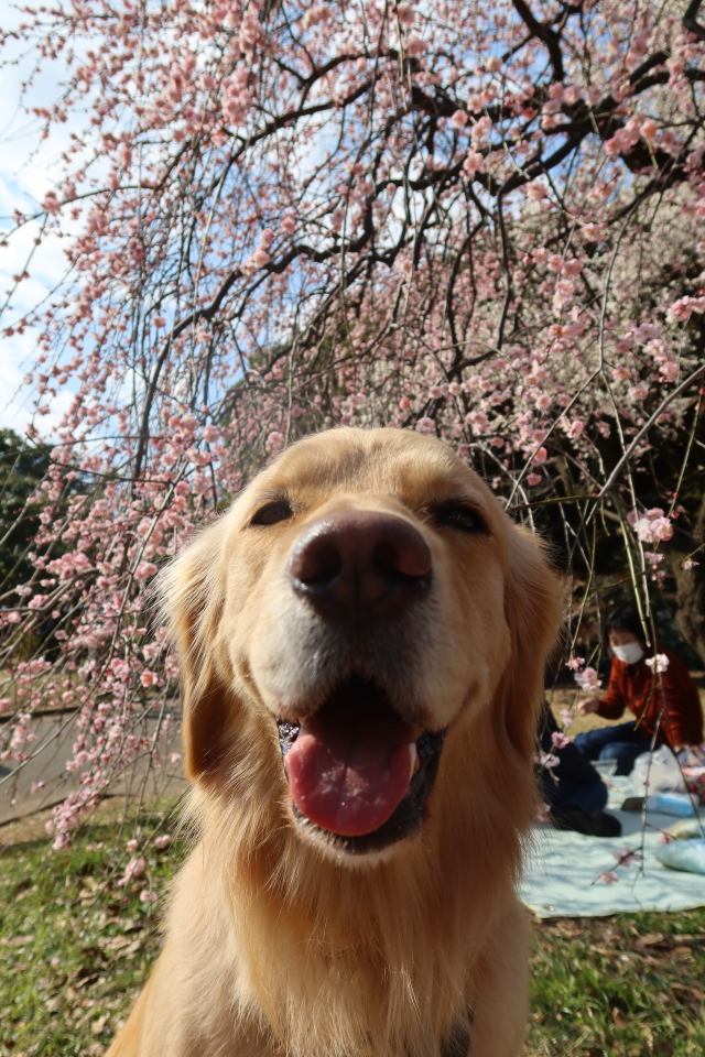 ファイル 7920-1.jpg