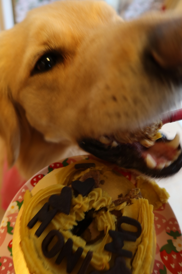 ファイル 7920-4.jpg